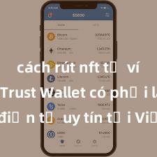 cách rút nft từ ví trust Trust Wallet có phải là ví điện tử uy tín tại Việt Nam không?