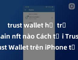 trust wallet hỗ trợ blockchain nft nào Cách tải Trust Wallet trên iPhone tại Việt Nam